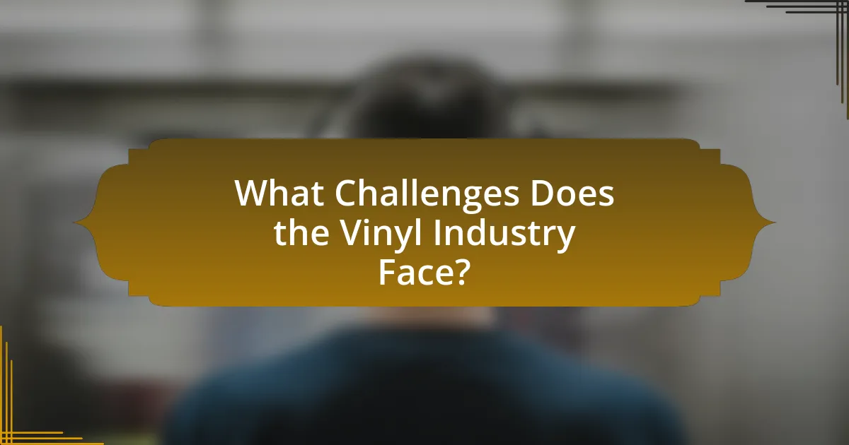 What Challenges Does the Vinyl Industry Face?