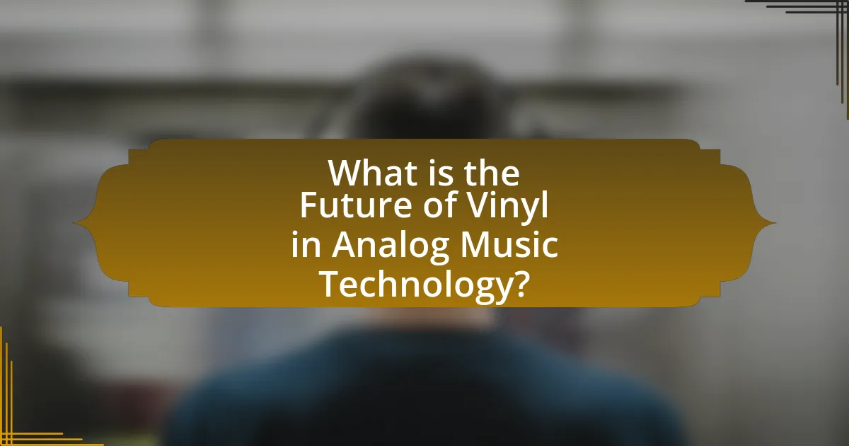What is the Future of Vinyl in Analog Music Technology?